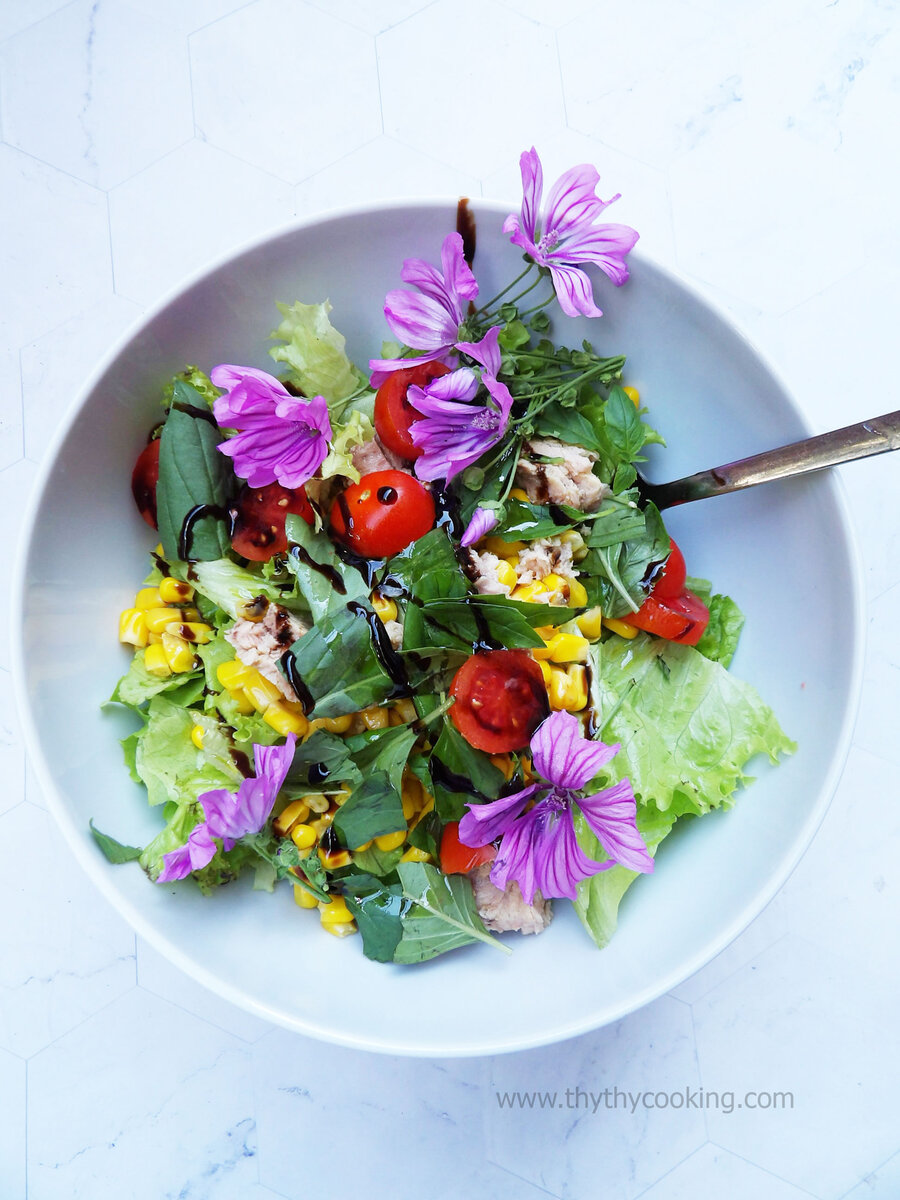 SALAD 5 SAO CÙNG HOA MALVA!!! 